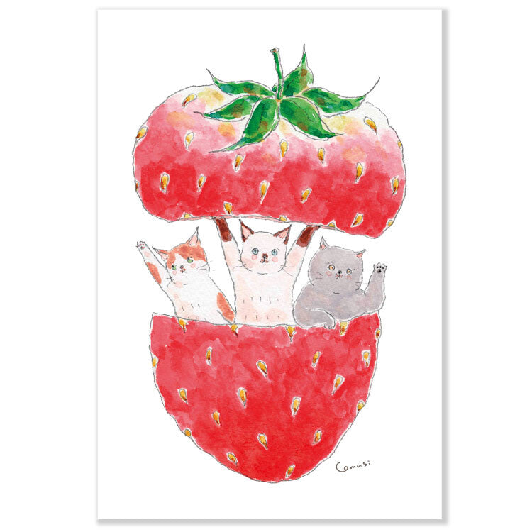 Tocorocomugi Postcard - Strawberry Cats