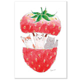 Tocorocomugi Postcard - Strawberry Cats