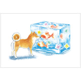 Shiba Inu and Delicious Summer Postcard