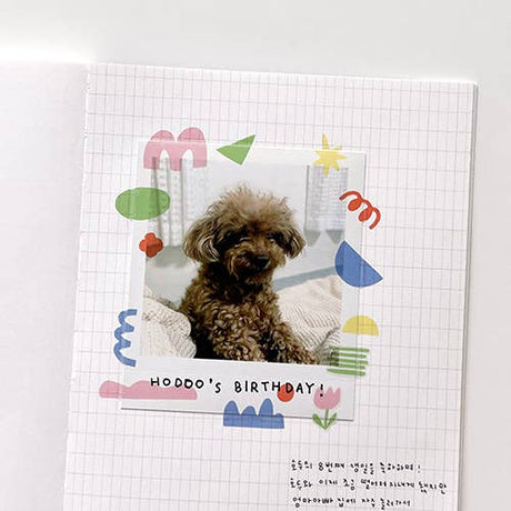 Suatelier Design Colourful Arrow Stickers - Paper Mochi